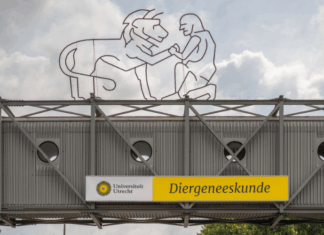 Faculteit Diergeneeskunde scoort sterk bij internationale evaluatie