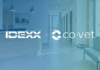 IDEXX neemt CoVet over: AI komt binnen bereik van bijna elke Nederlandse praktijk