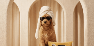 Rituals lanceert luxe verzorgingslijn voor honden